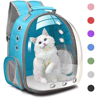 Best bubble cat backpack: Henkelion Cat Bubble Backpack