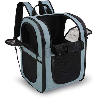 5 Best Cat Backpacks So You Can Take Your Cat Everywhere With You ...