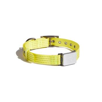 Whistle dog hot sale collar attachment