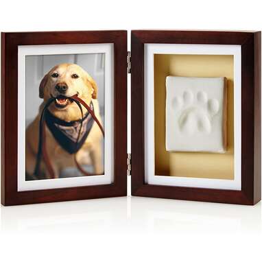 Pearhead Dog or Cat Paw Print Pet Keepsake Photo Frame with Clay Imprint Kit