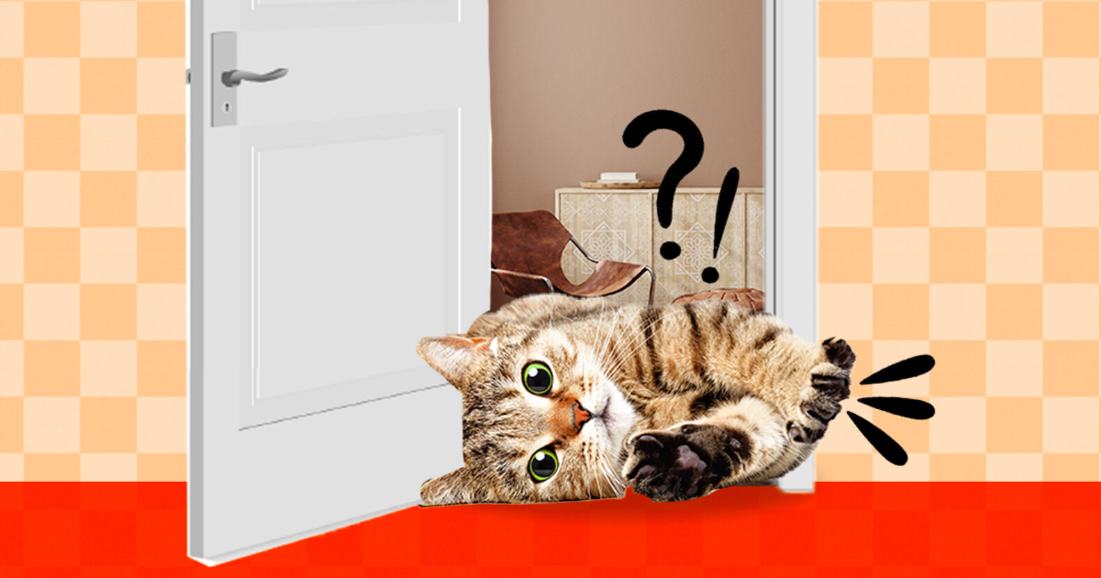 Cat Separation Anxiety Symptoms And How To Help DodoWell The Dodo