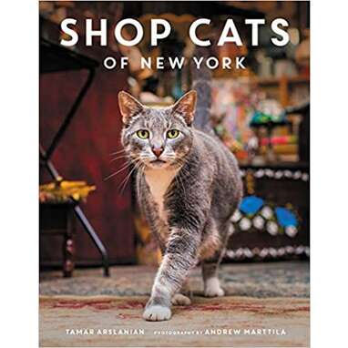 Shop Cats of New York