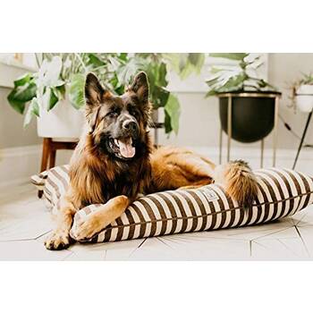 Here's Why Your Dog Digs In Her Bed Before Lying Down - DodoWell - The Dodo