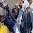 Men Jump Into River To Save A Dolphin's Life