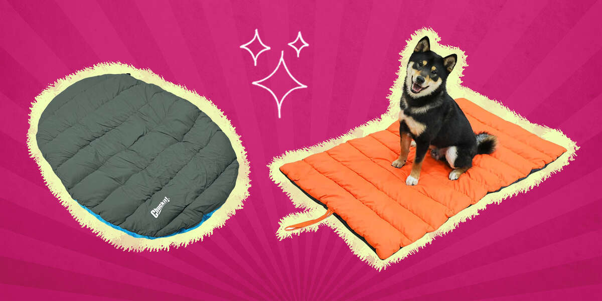Washable Sky Blue Outdoor Dog Bed Mat for Sleeping TOYSBOOM Waterproof Portable Travel Dog Bed for Camping 44 x 26 All Season Indoor Dog Crate Bed for Large Medium Small Dogs Water Resistant 