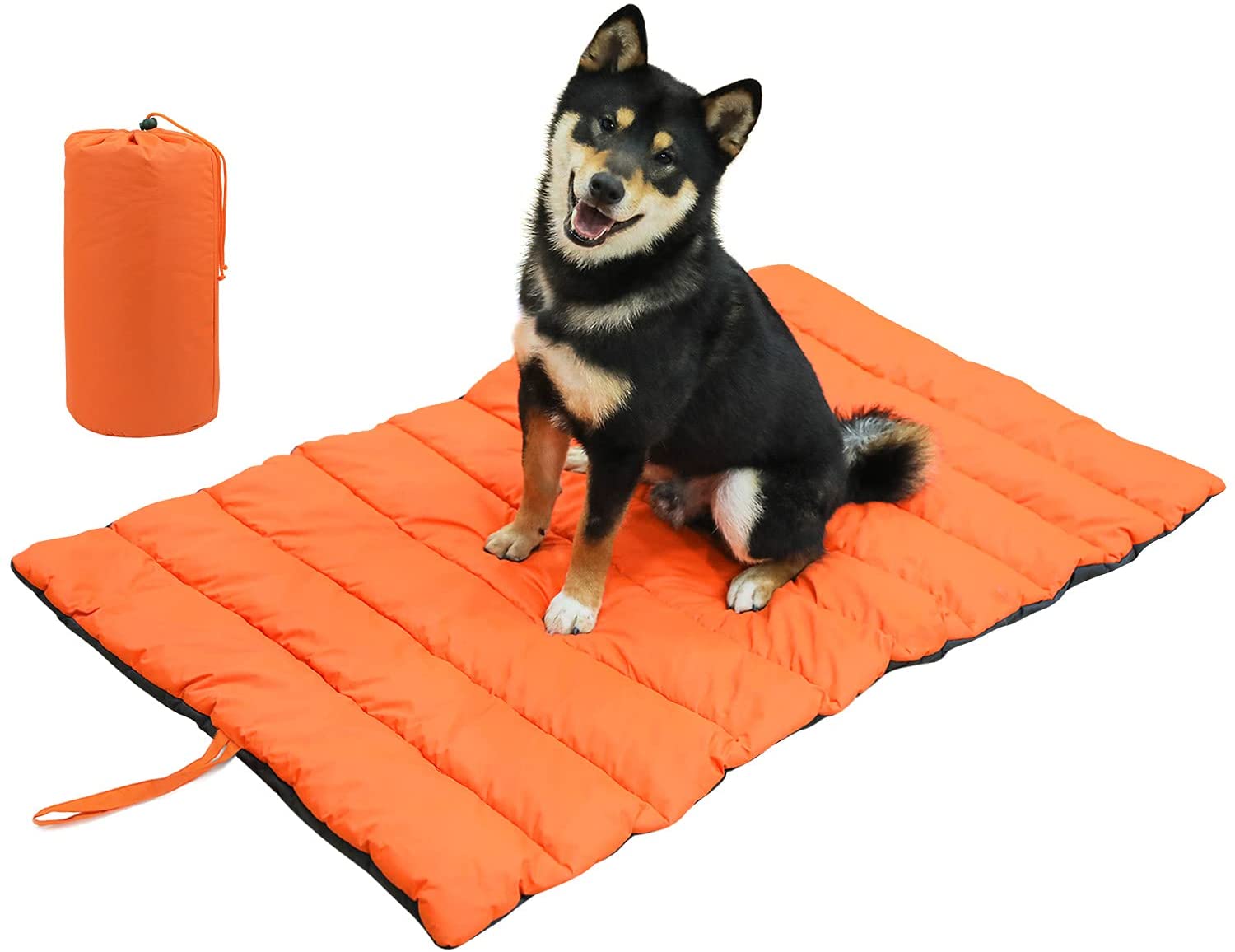 Portable dog outlet bed