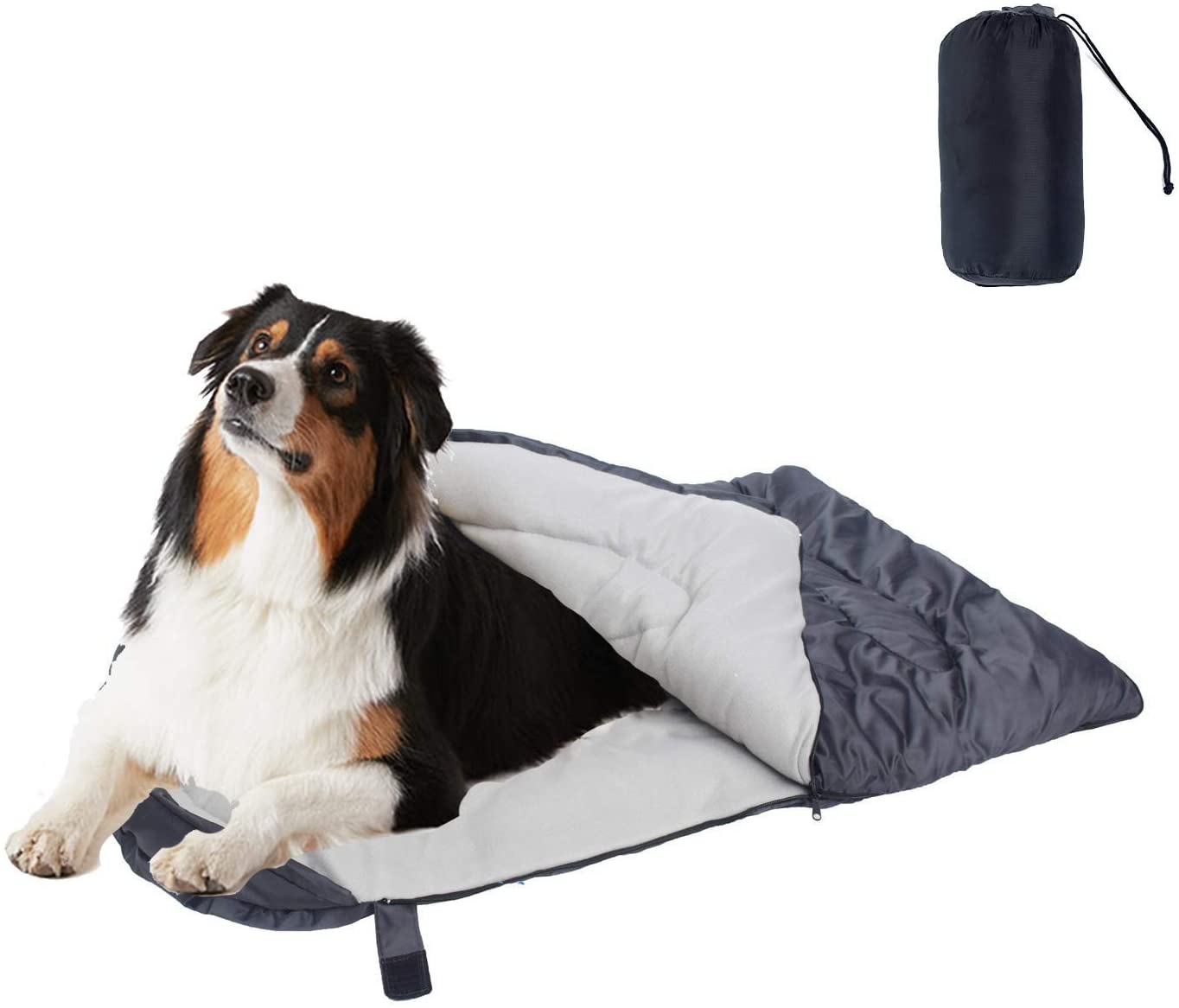 Folding Travel Dog Mat & Tote