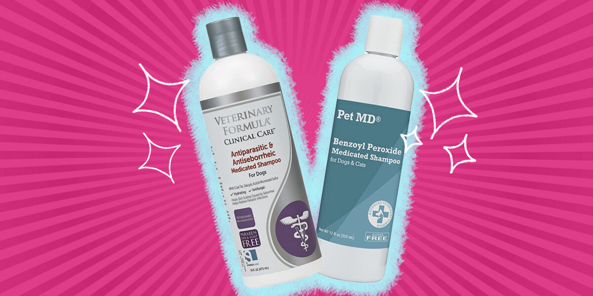 Petmd benzoyl peroxide medicated shampoo online