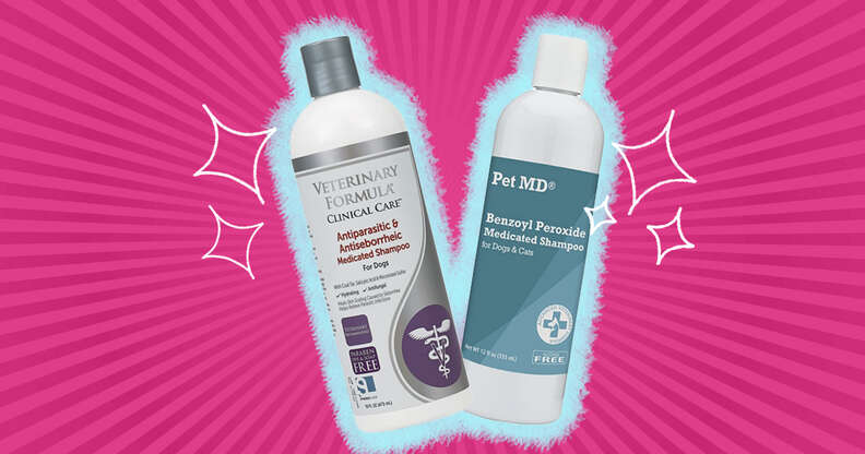 Petmd benzoyl best sale peroxide medicated shampoo