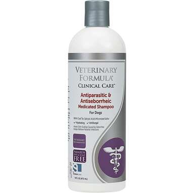 Best dog dandruff shampoo for seborrhea and skin infections: Veterinary Formula Clinical Care Antiparasitic & Antiseborrheic Medicated Dog Shampoo