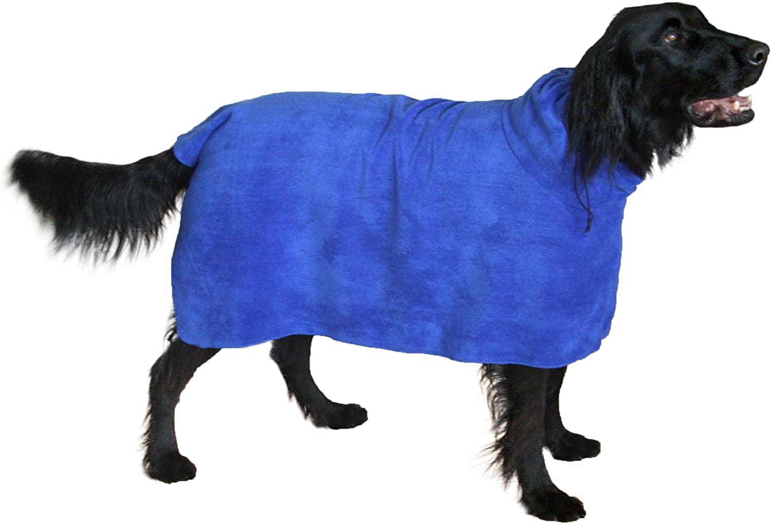 Best towels outlet for dogs