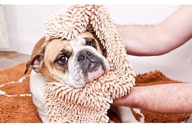 Best towel with pockets: Soggy Doggy Super Shammy