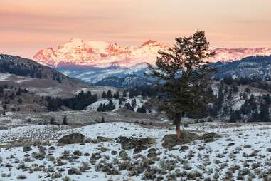 Yellowstone National Park