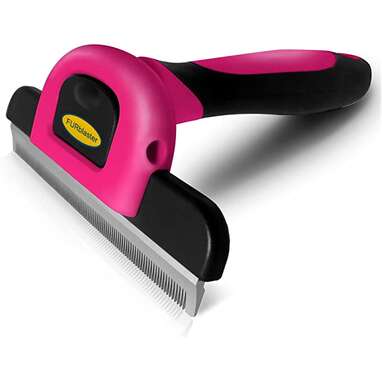 Grooming tools for short haired clearance dogs