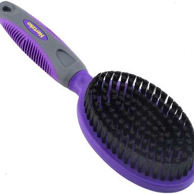 Hair brush for clearance short hair dog