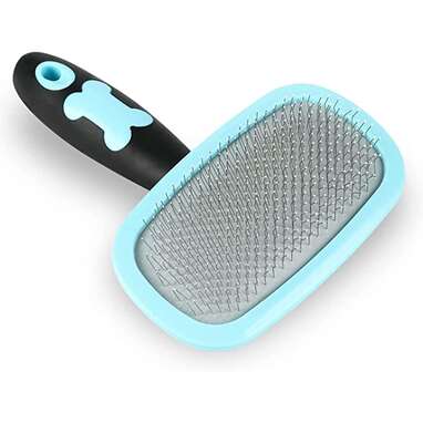 Hair brush for short hair deals dog