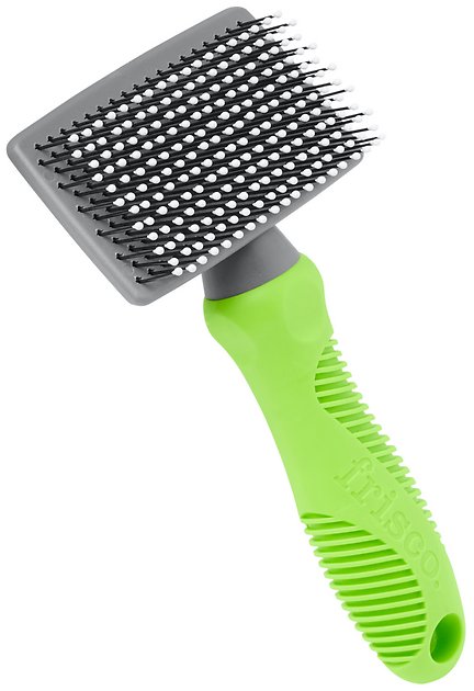 Best Short Hair Dog Brushes For A Healthy Coat DodoWell The Dodo