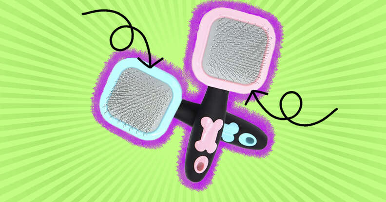 Dog brush for on sale short hair dogs