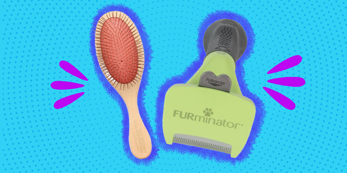 Best brush for hairy sales dogs