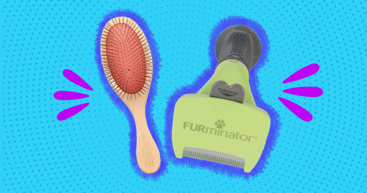 pin brush, furminator brush