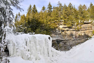 a frozen waterfall in a pine forest