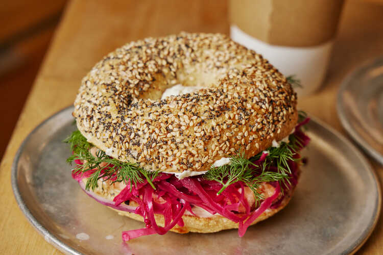 Bagelsaurus