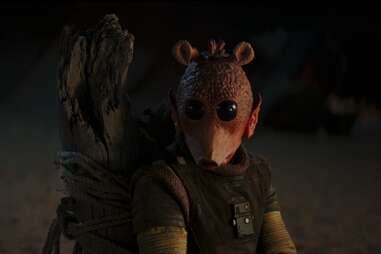 Red Rodian