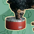 yeti boomer dog bowl