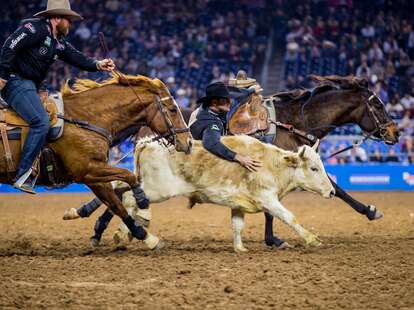 Houston, Texas Livestock Show & Rodeo