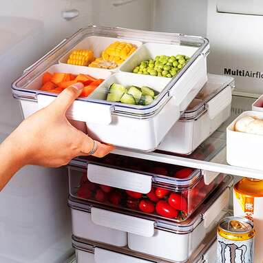 Best storage containers for refrigerator deals