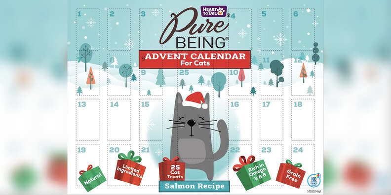 ALDI Recalls Dog And Cat Advent Calendars From Pet Brands Products