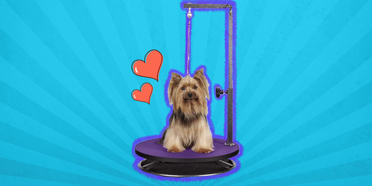 DogUp Stand - Adjustable Dog Grooming Support Stand, Keeps Dogs Standing  Up, Prevents Sitting (Small)