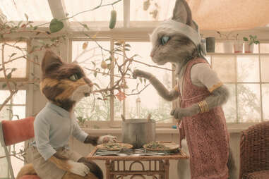 stopmotion cats in the house