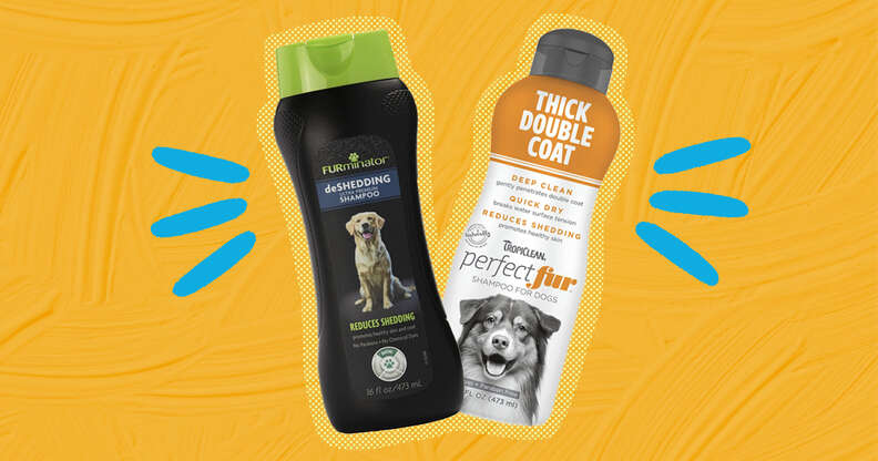 Best Dog Shampoos To Reduce Shedding DodoWell The Dodo