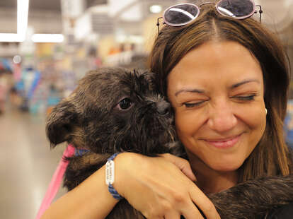 Dog top sunglasses petsmart