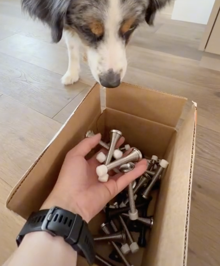 Dog Obsessed With Door Stoppers Gets Best Present Ever The Dodo