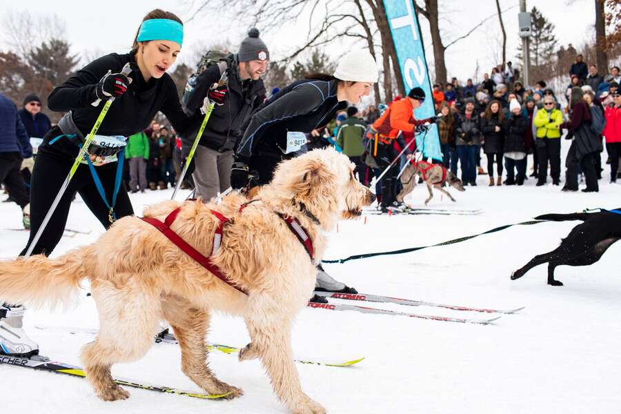 Minnesota’s Great Northern Festival Is the Best Winter Celebration