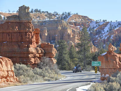 dixie national forest