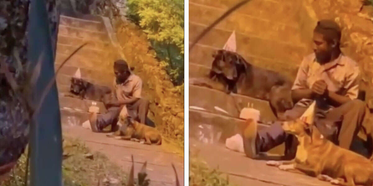 Camera Catches Homeless Man Throwing A Birthday Party For His Dog - The Dodo