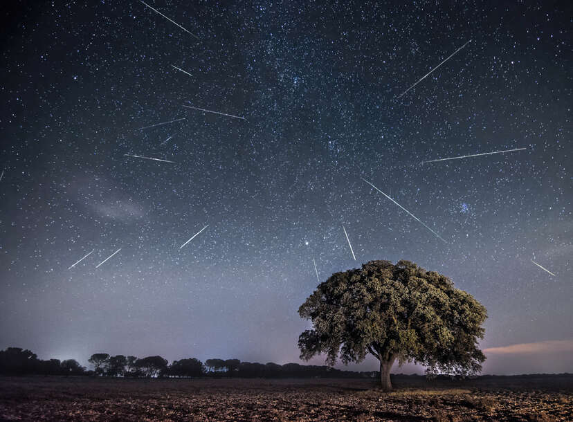Meteor Showers in 2022 That Will Light Up Night Skies - Thrillist