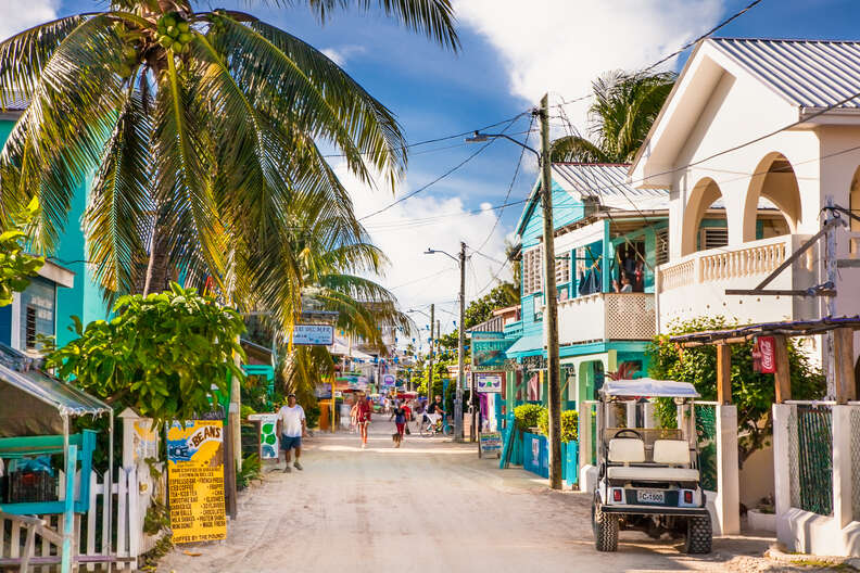 a residential street on a tropical island