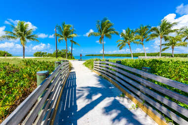 walkway leading to a palm-lined beach