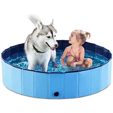 Best dog bathtub and pool: Jasonwell Foldable Dog Pet Bath Pool