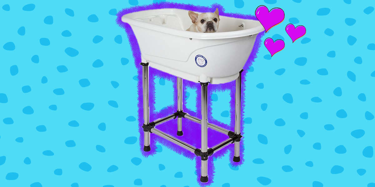 Best 4 Dog Bathtubs For Grooming At Home DodoWell The Dodo
