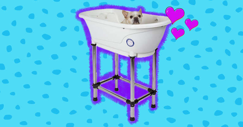 Dog bath outlet tubs for home