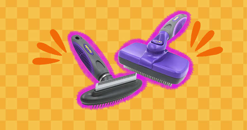 10 Best Dog Brushes for Shedding