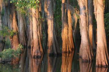 Caddo Lake