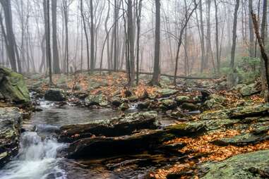 Harriman State Park