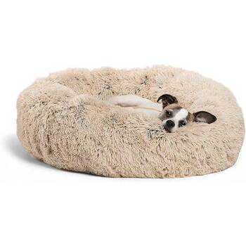 Best place top for dog beds