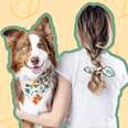 foggy dog bandana scrunchie set